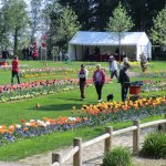 Ce week-end, venez visiter les serres municipales...
