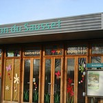 Le parc du Sausset encore victime de vols nocturnes