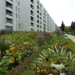 Visite et atelier jardinage aux Jardins du Zephyr le 4 Août