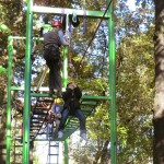 Ce week-end, l'arbre sera en fête à Aulnay-sous-Bois !