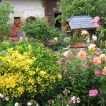 Derniers jours pour participer au concours des jardins et balcons fleuris