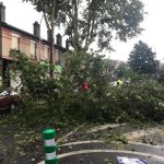 Plusieurs chutes d'arbres à Aulnay-sous-Bois suite aux orages
