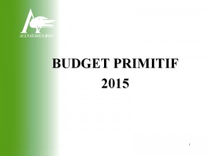 Budget primitif 2015 - aperçu
