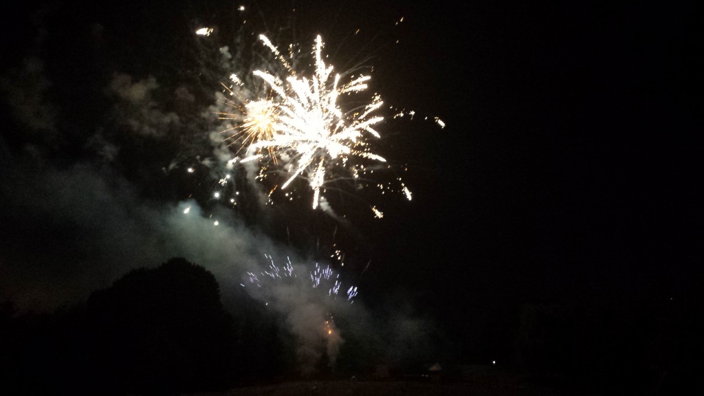 Le feu d'artifice du 14 Juillet 2015 a été suivi par plusieurs milliers de spectateurs ce mardi soir au parc Robert Ballanger, peu après 23h00. | (C) 93600INFOS / Alexandre Conan